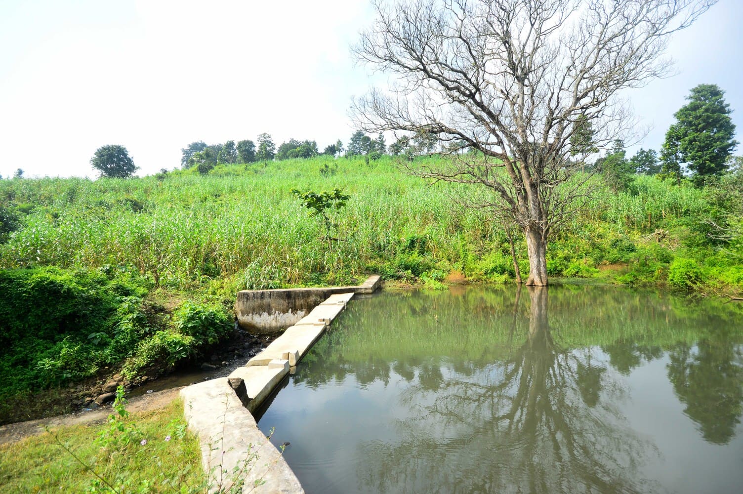 Green fields and a water channel